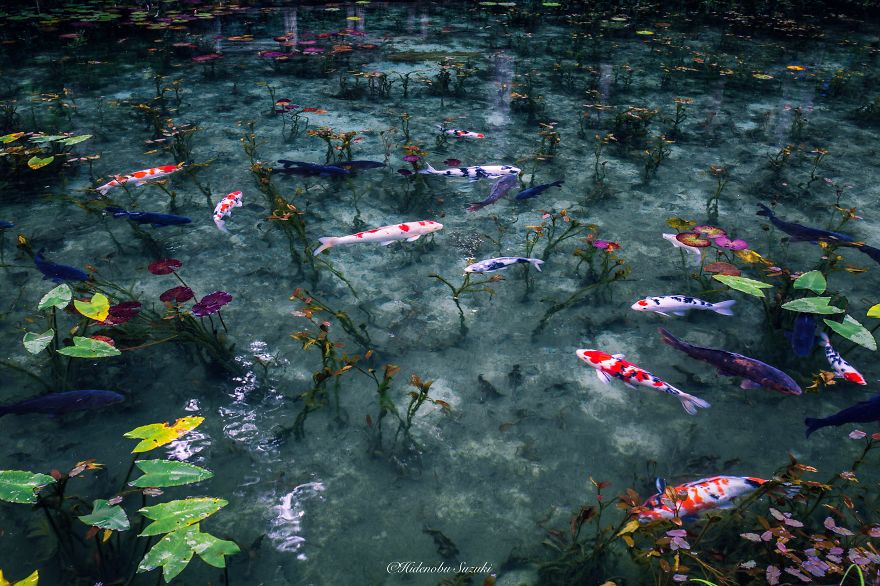 &#8216;Monet&#8217;s Pond&#8217; In Japan That Looks Like Monet&#8217;s Paintings
