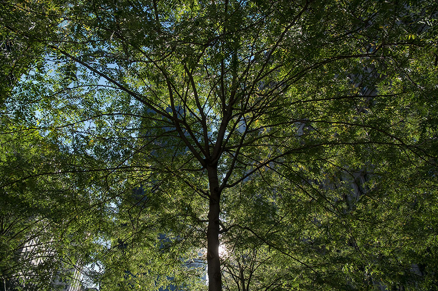 This Photographer Points His Camera The &#8220;Wrong&#8221; Way At The World’s Most Visited Locations