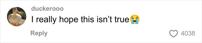 Chris Evans Cheating Rumors Spread Like Fire As Scandalous &#8216;Blind Items&#8217; Go Viral Amid First Childbirth