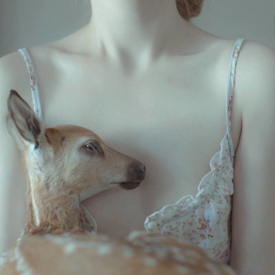 Death In This Land Is Liberating Death In This Land Is Liberating