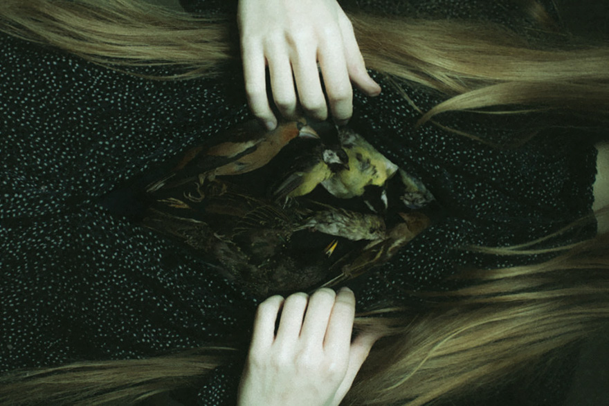 Death In This Land Is Liberating Death In This Land Is Liberating