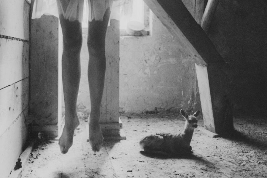 Death In This Land Is Liberating Death In This Land Is Liberating