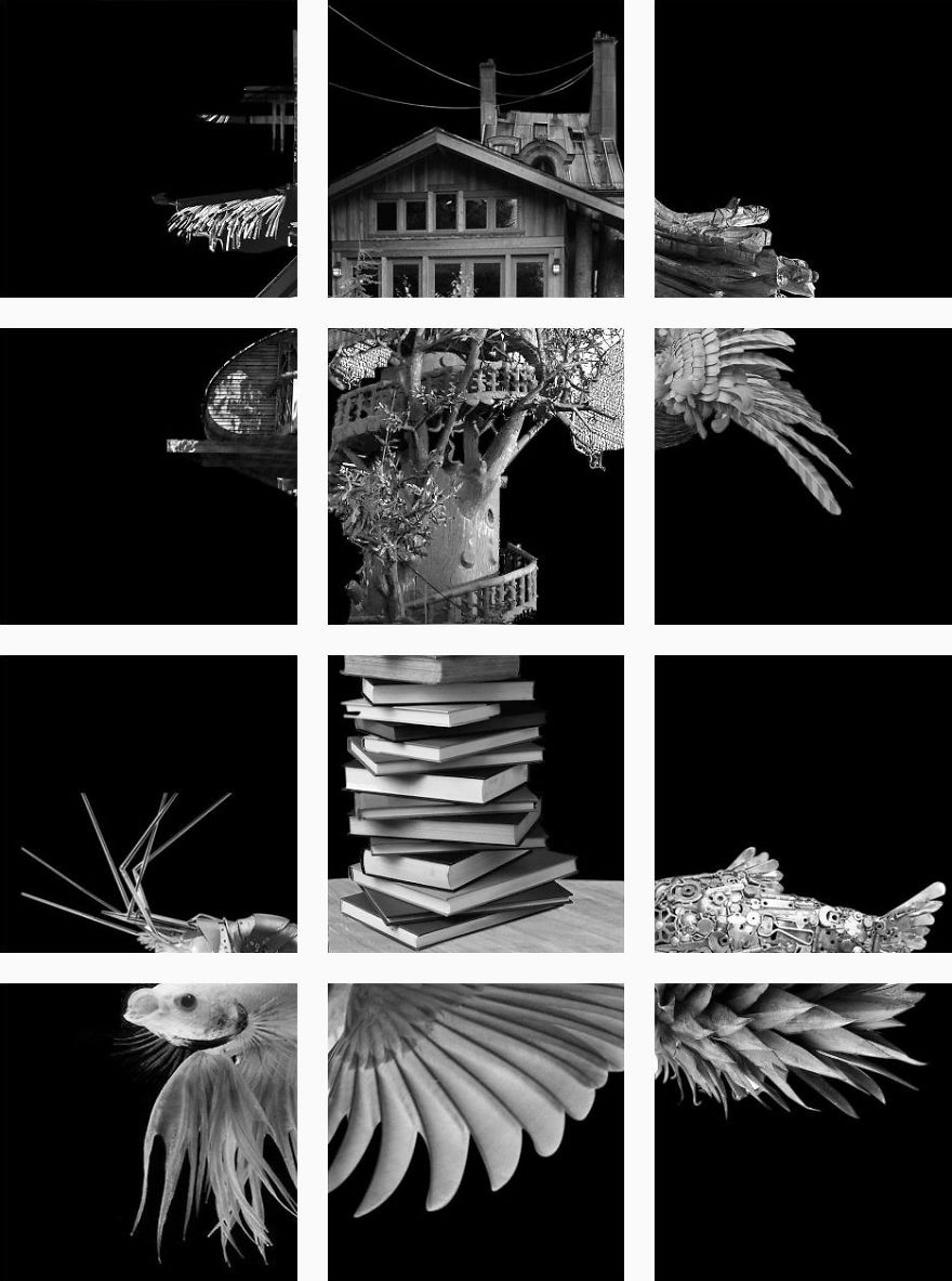 This Instagram Only Makes Sense When You See The Bigger Picture This Instagram Only Makes Sense When You See The Bigger Picture