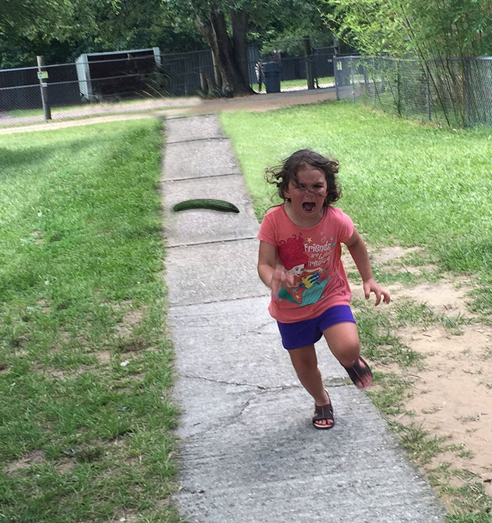 Family Trip To Petting Zoo Didn’t Go As Planned, Internet Response Is Hilarious Family Trip To Petting Zoo Didn’t Go As Planned, Internet Response Is Hilarious