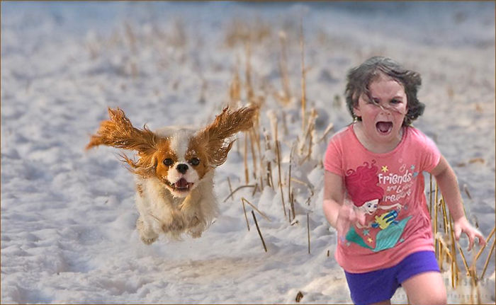 Family Trip To Petting Zoo Didn’t Go As Planned, Internet Response Is Hilarious Family Trip To Petting Zoo Didn’t Go As Planned, Internet Response Is Hilarious