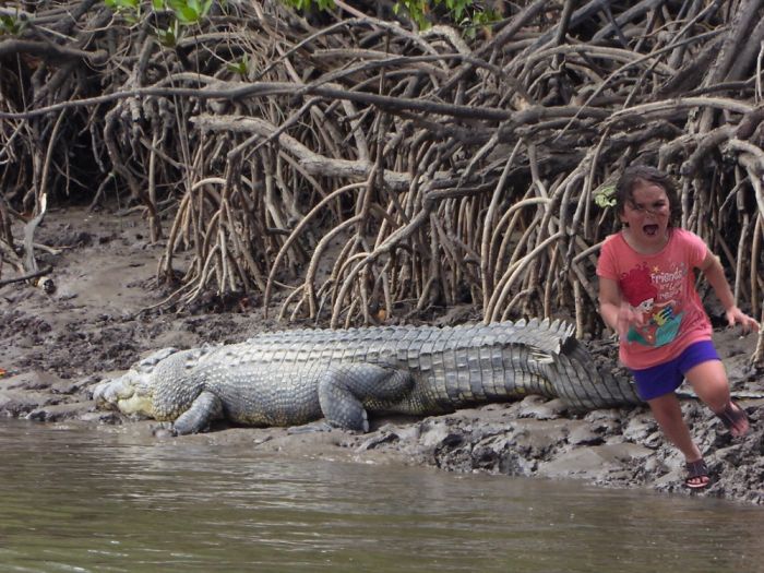 Family Trip To Petting Zoo Didn’t Go As Planned, Internet Response Is Hilarious Family Trip To Petting Zoo Didn’t Go As Planned, Internet Response Is Hilarious