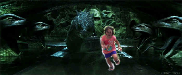 Family Trip To Petting Zoo Didn’t Go As Planned, Internet Response Is Hilarious Family Trip To Petting Zoo Didn’t Go As Planned, Internet Response Is Hilarious