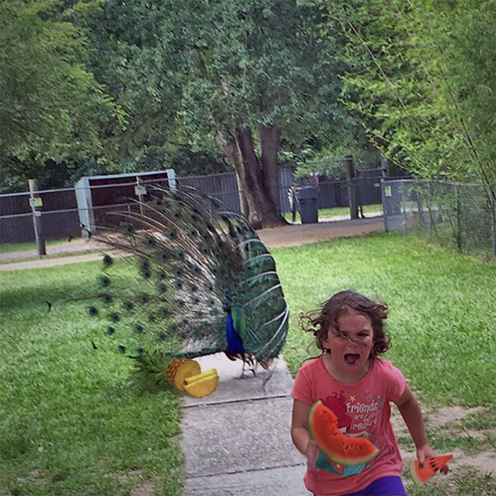 Family Trip To Petting Zoo Didn’t Go As Planned, Internet Response Is Hilarious Family Trip To Petting Zoo Didn’t Go As Planned, Internet Response Is Hilarious