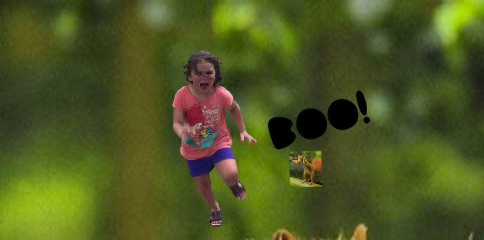 Family Trip To Petting Zoo Didn’t Go As Planned, Internet Response Is Hilarious Family Trip To Petting Zoo Didn’t Go As Planned, Internet Response Is Hilarious