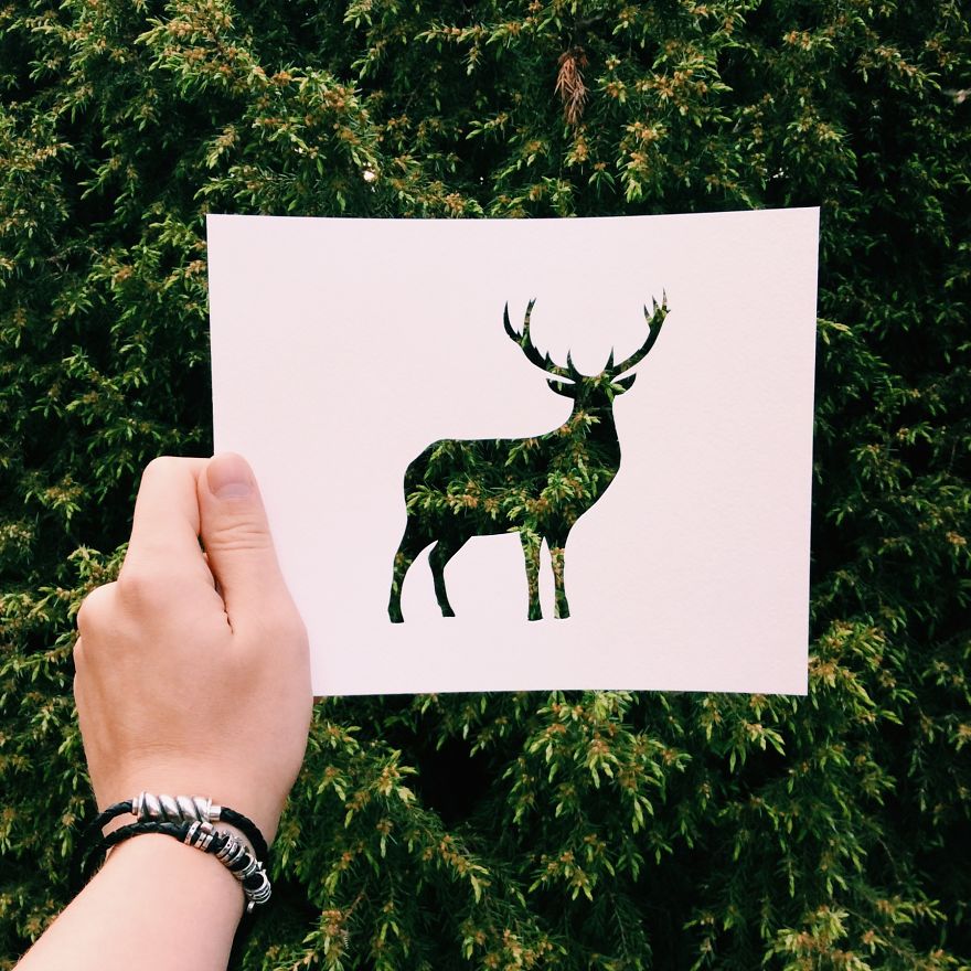 I Use Nature To Color Animal Paper Silhouettes (Part 2)