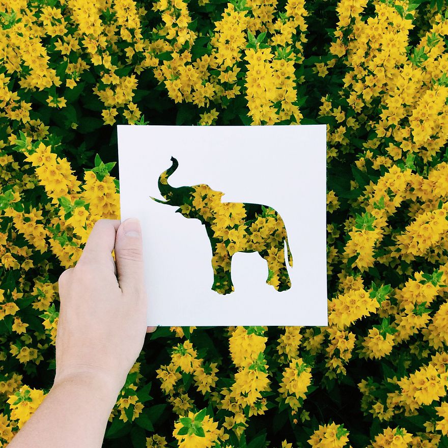 I Use Nature To Color Animal Paper Silhouettes (Part 2)
