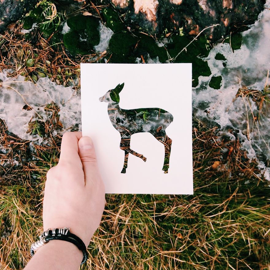 I Use Nature To Color Animal Paper Silhouettes (Part 2)