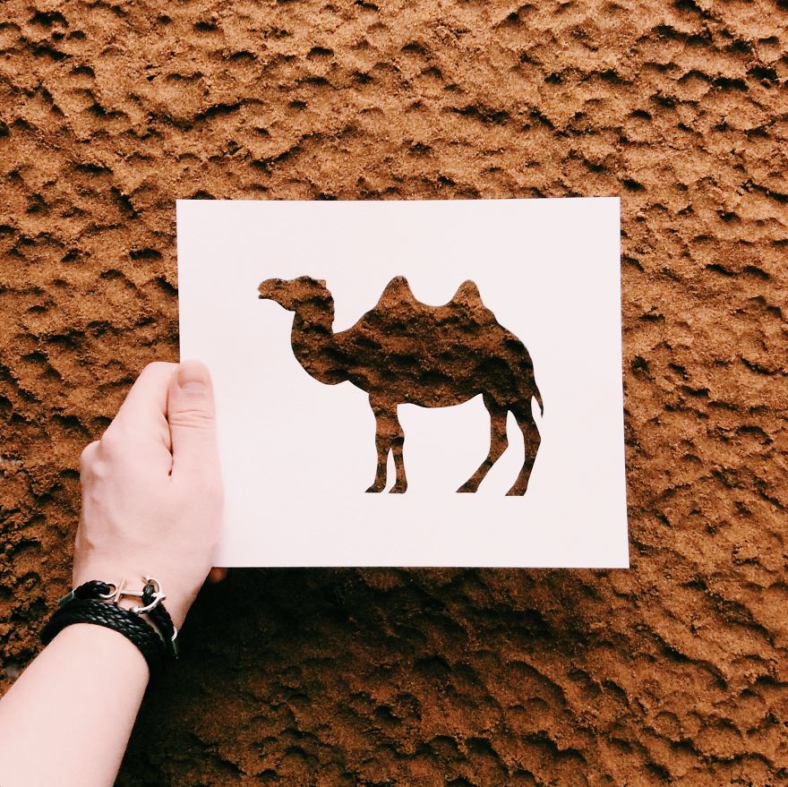 I Use Nature To Color Animal Paper Silhouettes (Part 2)