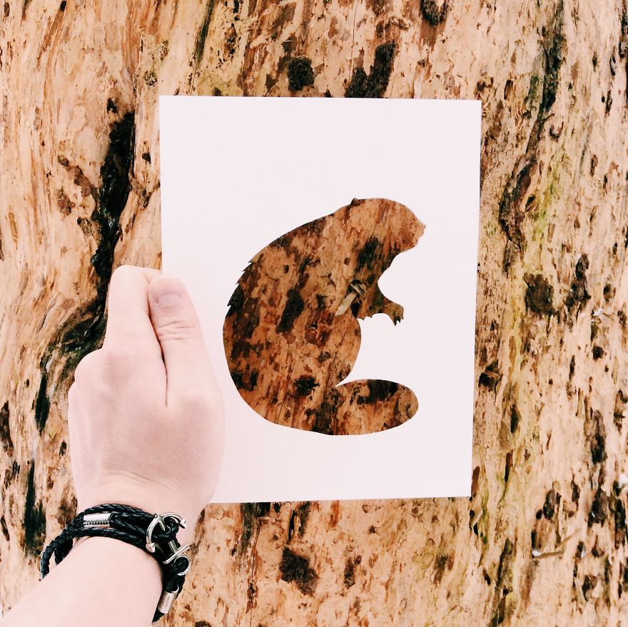 I Use Nature To Color Animal Paper Silhouettes (Part 2)