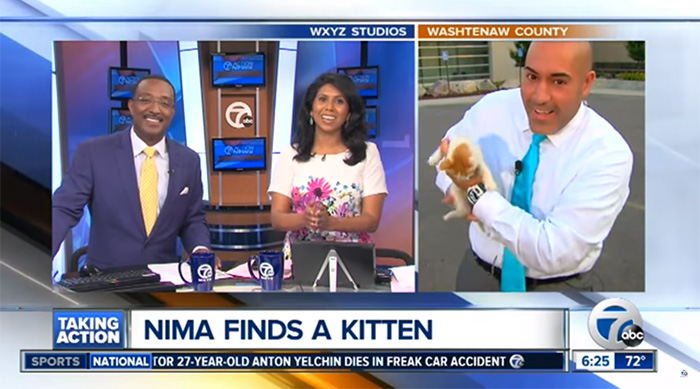 Stray Kitten Interrupts Live Newscast And Gets Rescued