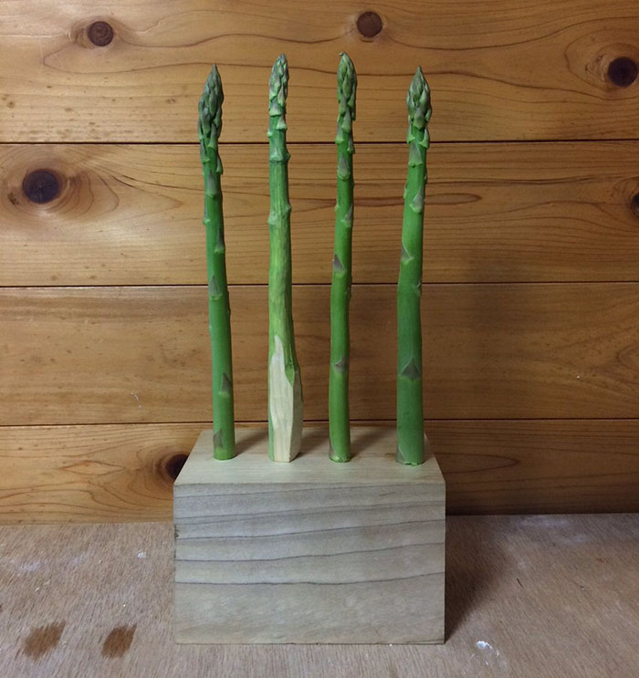 Realistic Wooden Food By Seiji Kawasaki