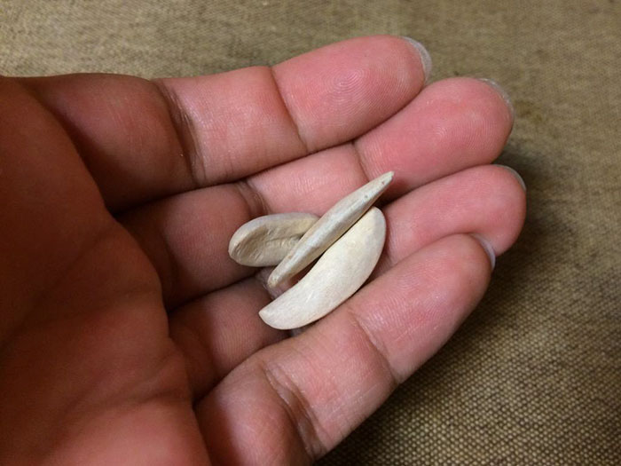 Realistic Wooden Food By Seiji Kawasaki