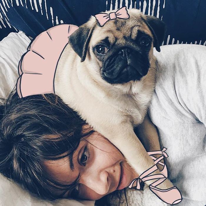 My Girlfriend And I Love To Doodle On Our Pug’s Face (24 Pics) My Girlfriend And I Love To Doodle On Our Pug’s Face (24 Pics)