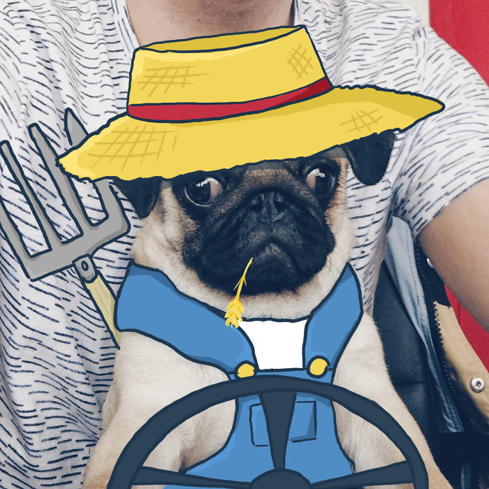 My Girlfriend And I Love To Doodle On Our Pug’s Face (24 Pics) My Girlfriend And I Love To Doodle On Our Pug’s Face (24 Pics)