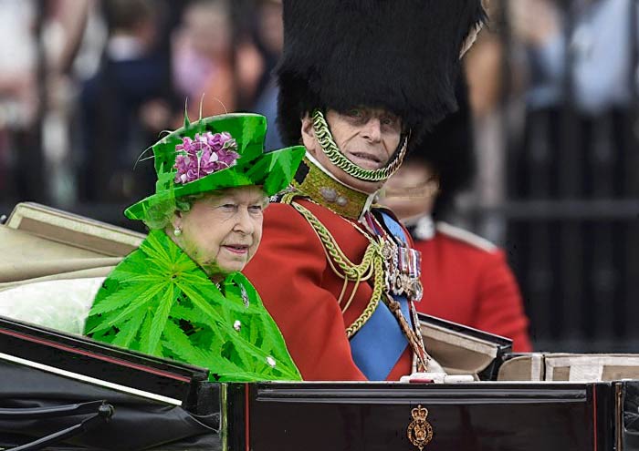 The Queen&#8217;s &#8216;Green Screen&#8217; Outfit Sparks A Hilarious Internet Reaction