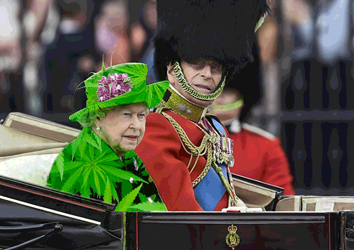The Queen&#8217;s &#8216;Green Screen&#8217; Outfit Sparks A Hilarious Internet Reaction