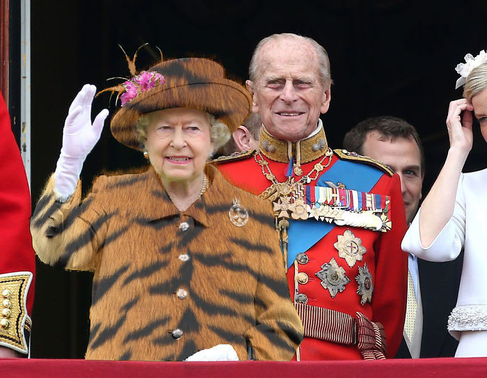 The Queen&#8217;s &#8216;Green Screen&#8217; Outfit Sparks A Hilarious Internet Reaction