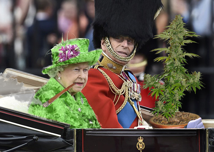 The Queen&#8217;s &#8216;Green Screen&#8217; Outfit Sparks A Hilarious Internet Reaction