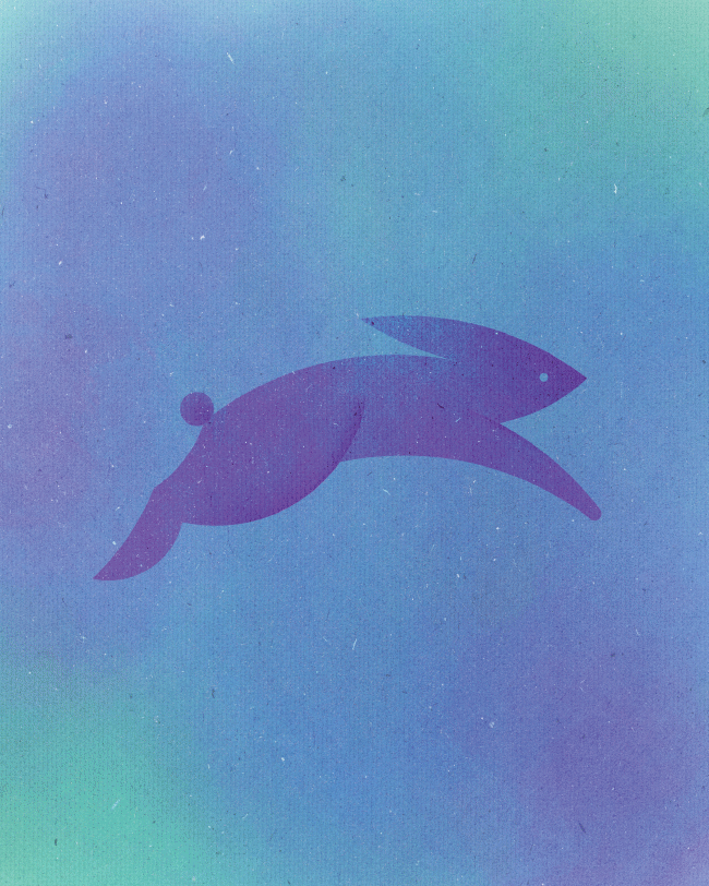 I Made 13 Animals Out Of 13 Perfect Circles I Made 13 Animals Out Of 13 Perfect Circles