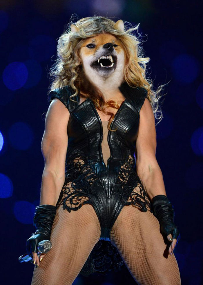 Dog Owner Is Photoshopping Their Shiba Inu Into Famous Photographs And It’s Hilarious Dog Owner Is Photoshopping Their Shiba Inu Into Famous Photographs And It’s Hilarious