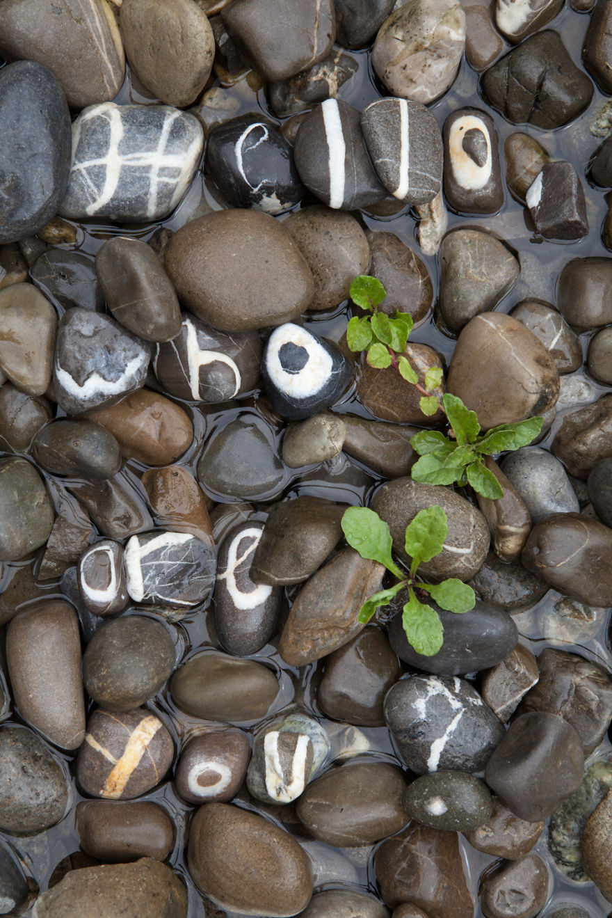 This Guy Collected A Complete Stone Alphabet Over 10 Years