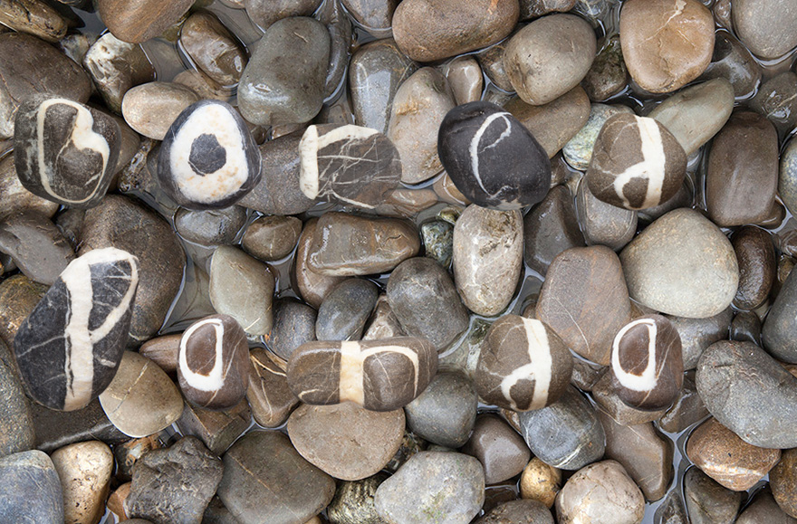 This Guy Collected A Complete Stone Alphabet Over 10 Years