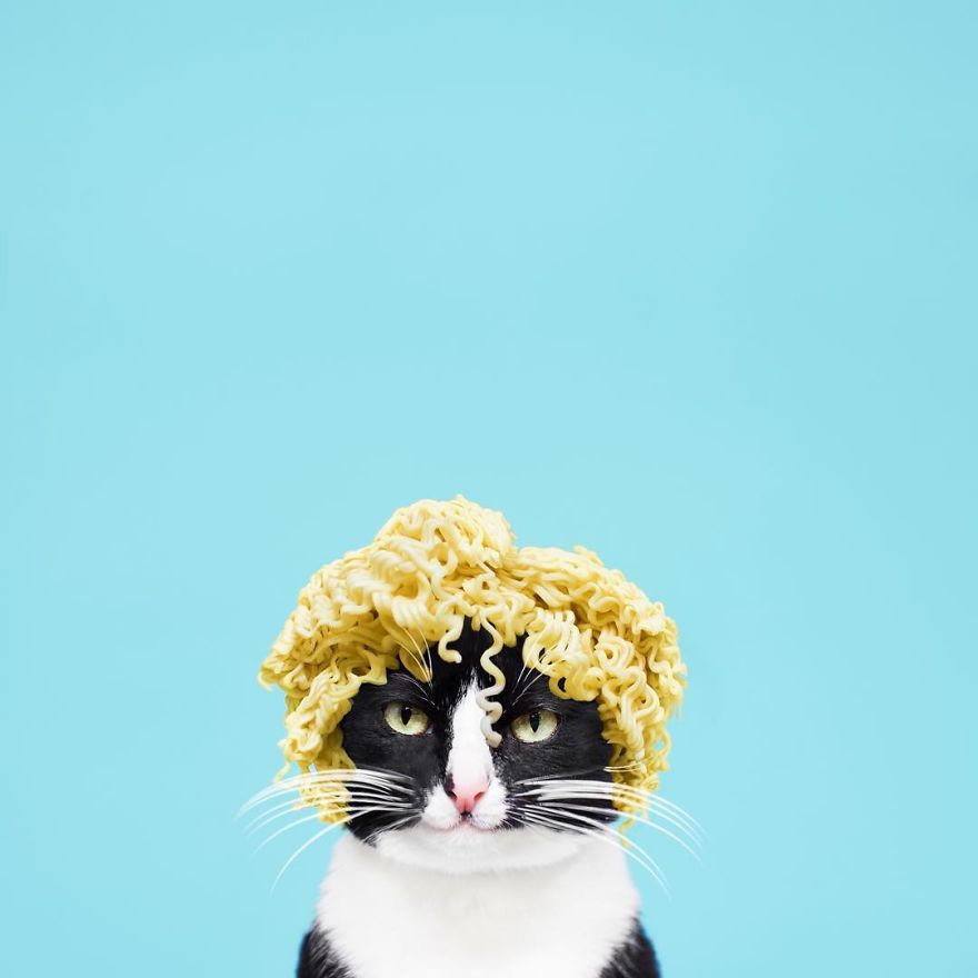 Escaping Reality With Princess Cheeto Escaping Reality With Princess Cheeto