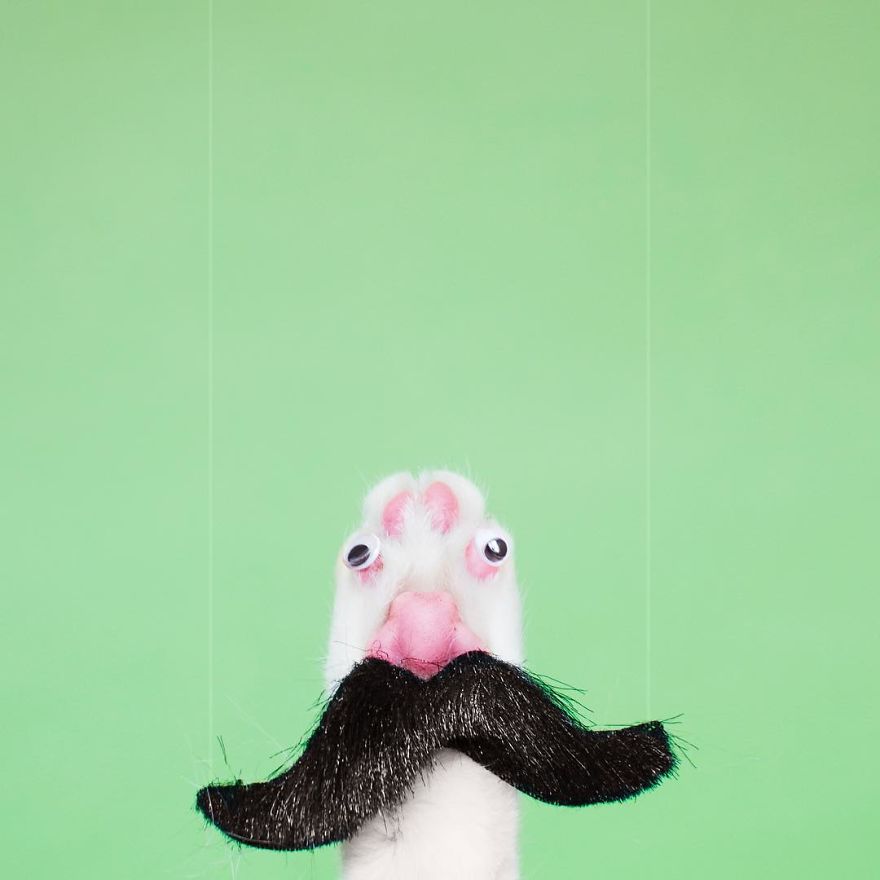 Escaping Reality With Princess Cheeto Escaping Reality With Princess Cheeto