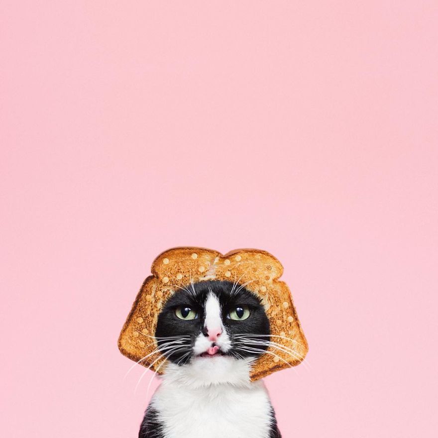 Escaping Reality With Princess Cheeto Escaping Reality With Princess Cheeto