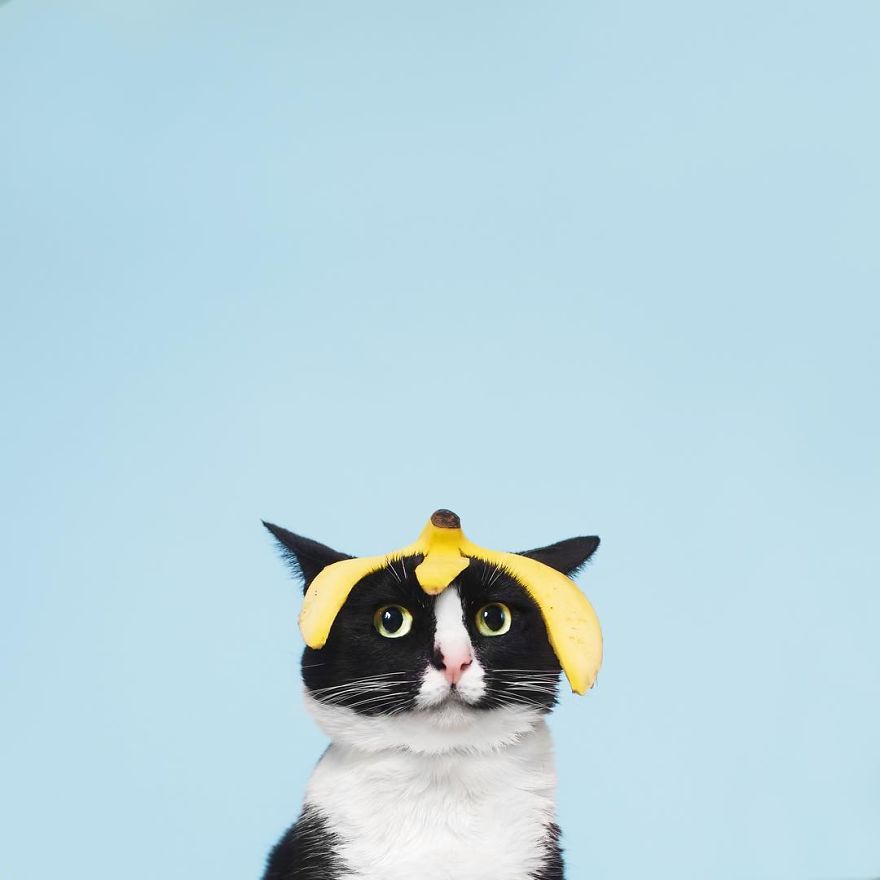 Escaping Reality With Princess Cheeto Escaping Reality With Princess Cheeto