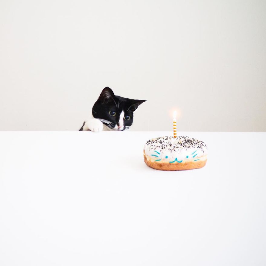 Escaping Reality With Princess Cheeto Escaping Reality With Princess Cheeto