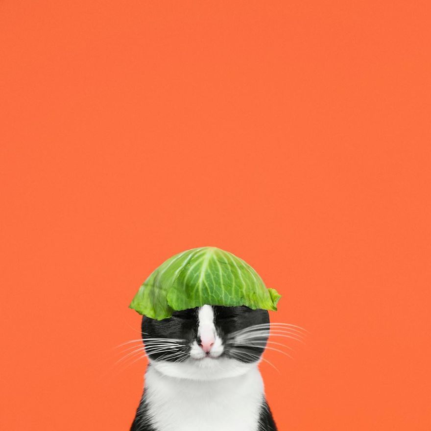 Escaping Reality With Princess Cheeto Escaping Reality With Princess Cheeto