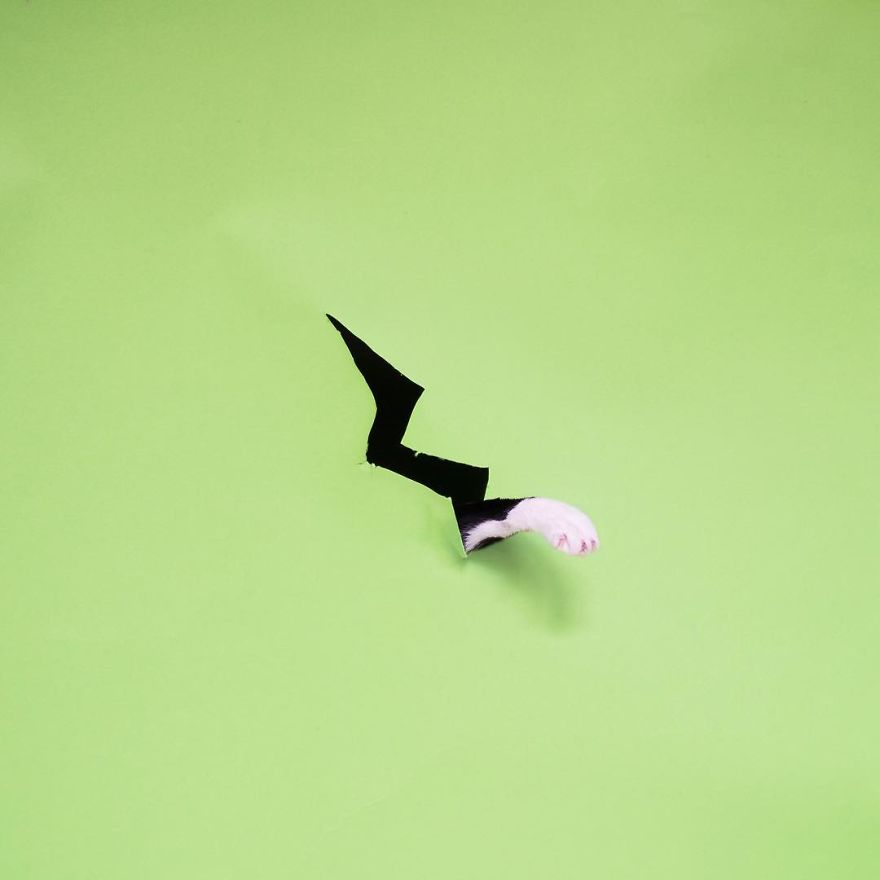 Escaping Reality With Princess Cheeto Escaping Reality With Princess Cheeto