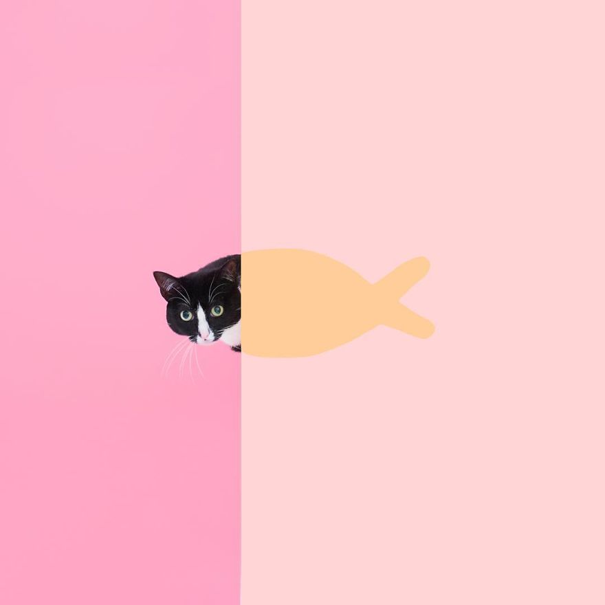 Escaping Reality With Princess Cheeto Escaping Reality With Princess Cheeto