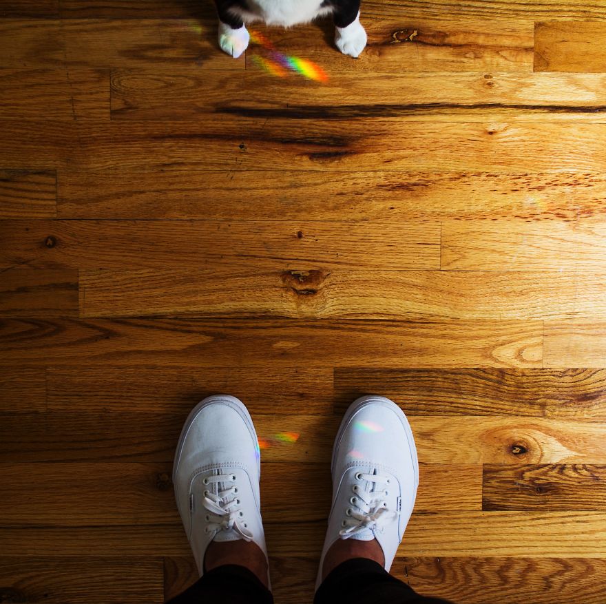 Escaping Reality With Princess Cheeto Escaping Reality With Princess Cheeto