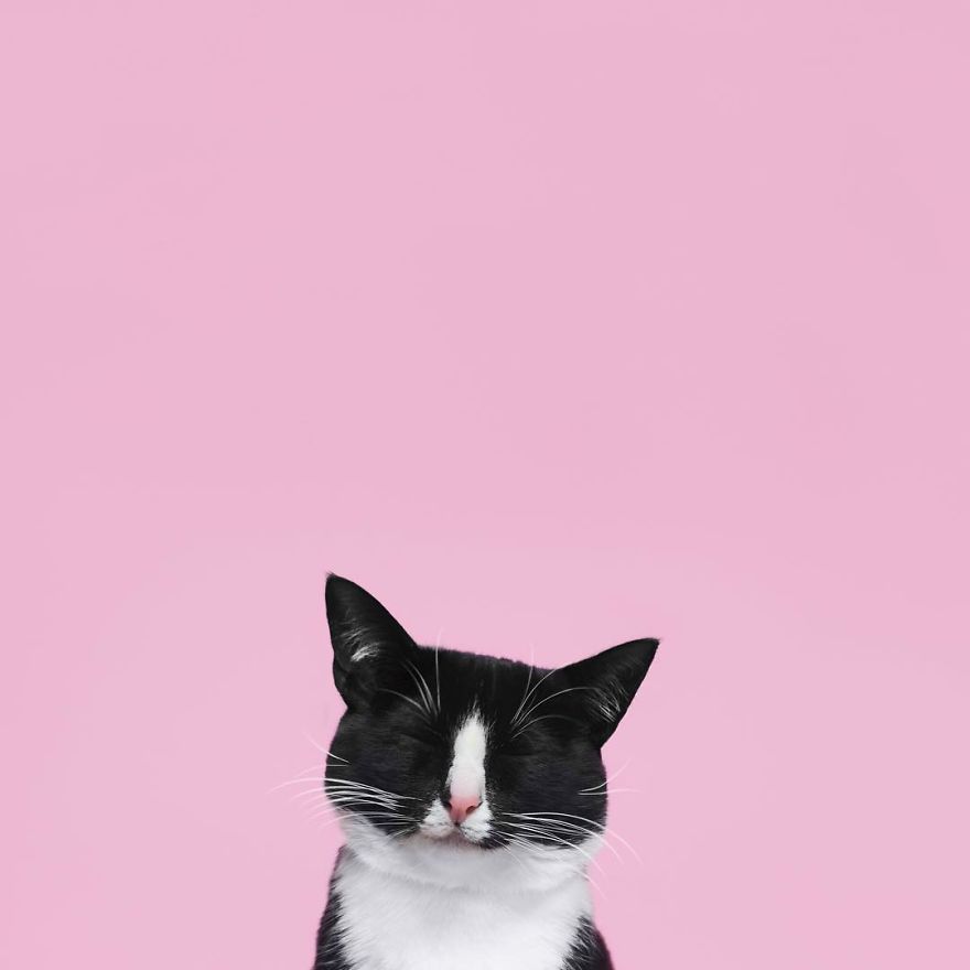 Escaping Reality With Princess Cheeto Escaping Reality With Princess Cheeto