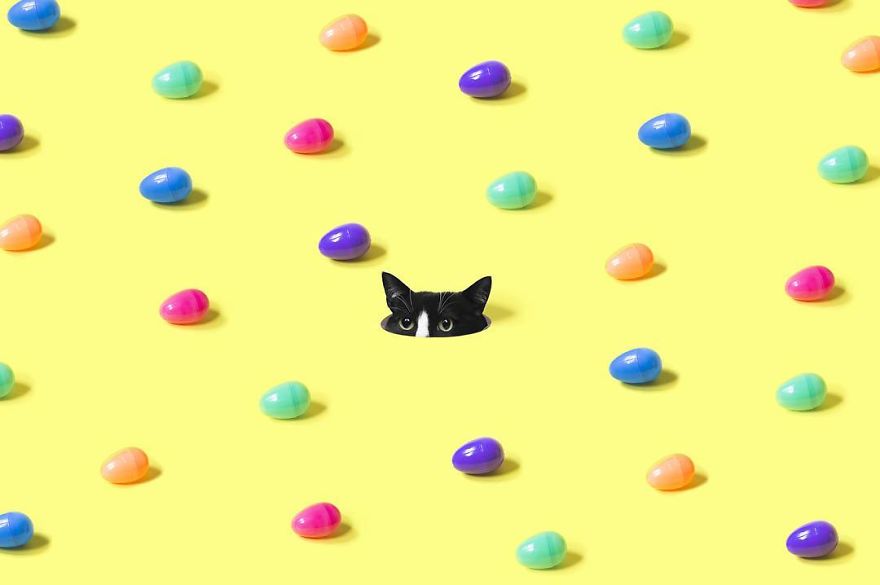 Escaping Reality With Princess Cheeto Escaping Reality With Princess Cheeto