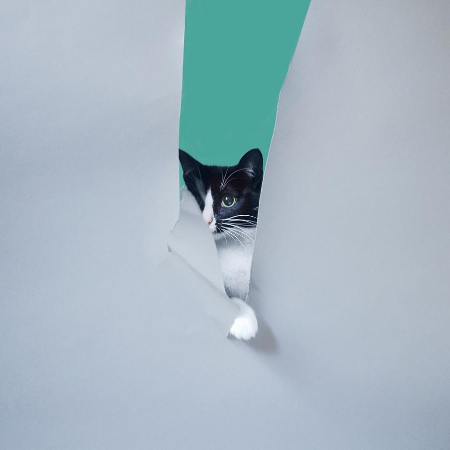 Escaping Reality With Princess Cheeto Escaping Reality With Princess Cheeto