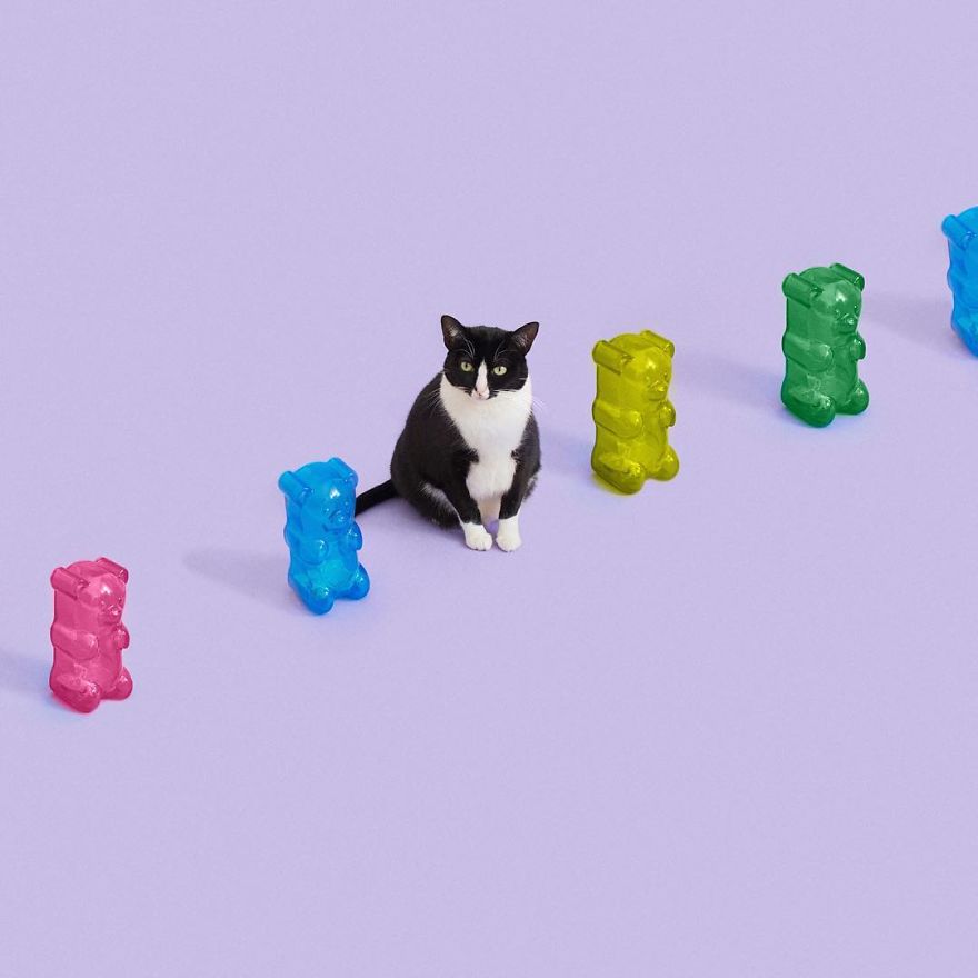 Escaping Reality With Princess Cheeto Escaping Reality With Princess Cheeto