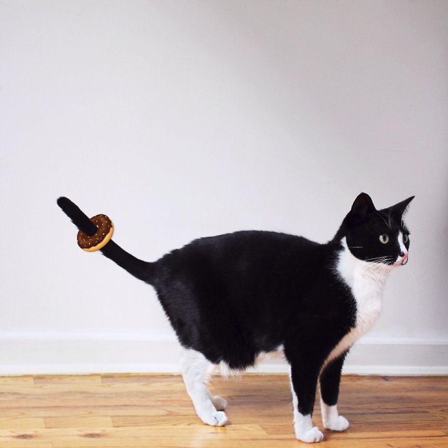 Escaping Reality With Princess Cheeto Escaping Reality With Princess Cheeto