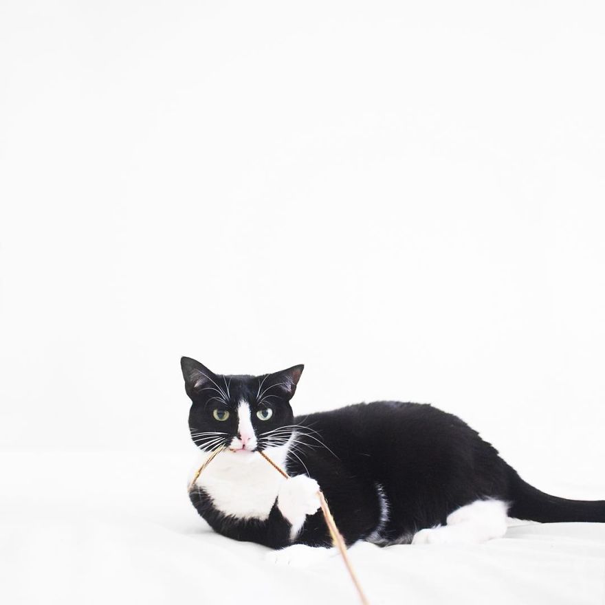 Escaping Reality With Princess Cheeto Escaping Reality With Princess Cheeto