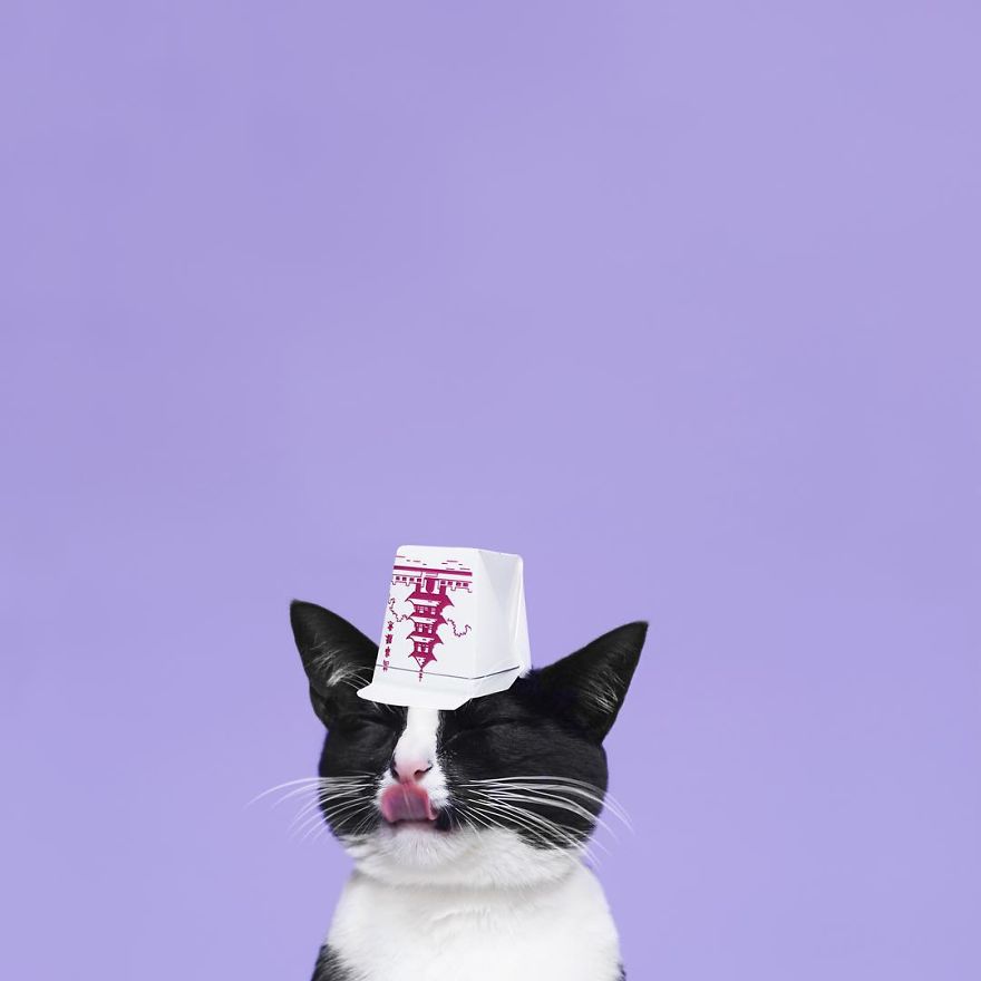 Escaping Reality With Princess Cheeto Escaping Reality With Princess Cheeto