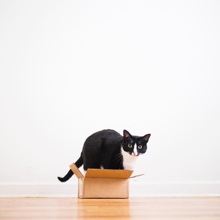 Escaping Reality With Princess Cheeto Escaping Reality With Princess Cheeto