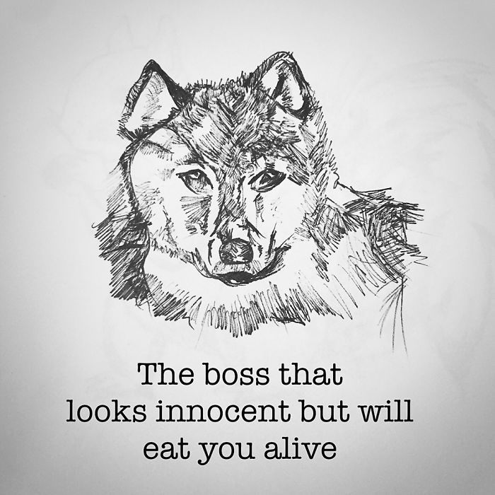 The Ups, Downs, And Weirdness Of Office Life