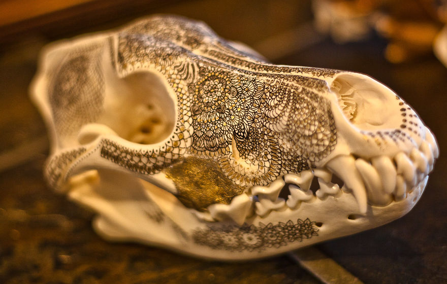 I Decorate Skulls With Golden Mandalas To Honour Fallen Creatures I Decorate Skulls With Golden Mandalas To Honour Fallen Creatures